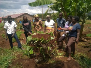 A group of Kenyan people working in the garden