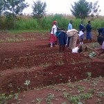 A group of Kenyan people working in the garden