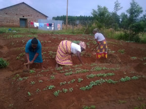 Three brightly clothed women working in a garden