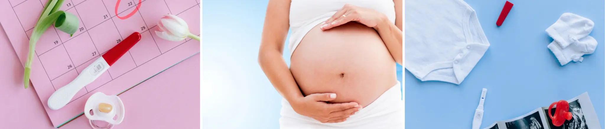 Pregnancy planning and prenatal wellness concepts featured in holistic nutrition education
