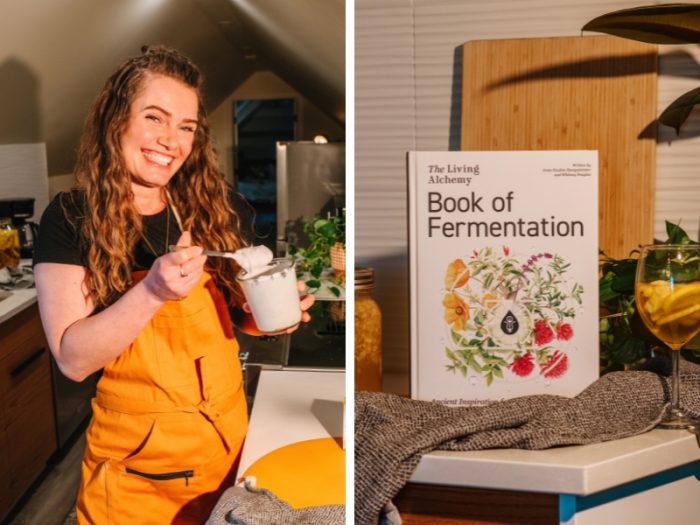 Book of fermantation Irene Pauline