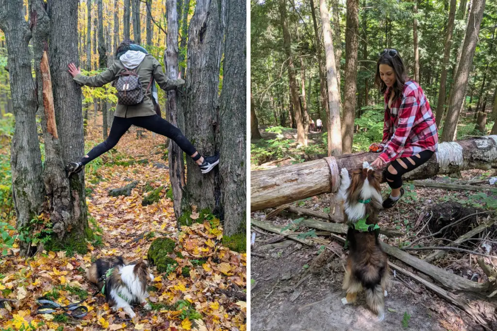 Christina Speranza spending time in nature with her dog and embracing an active outdoor lifestyle