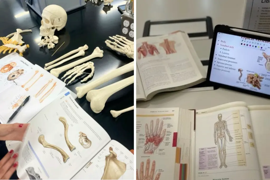 Halinka Hali Caspersz studying anatomy and health sciences as part of her holistic nutrition education