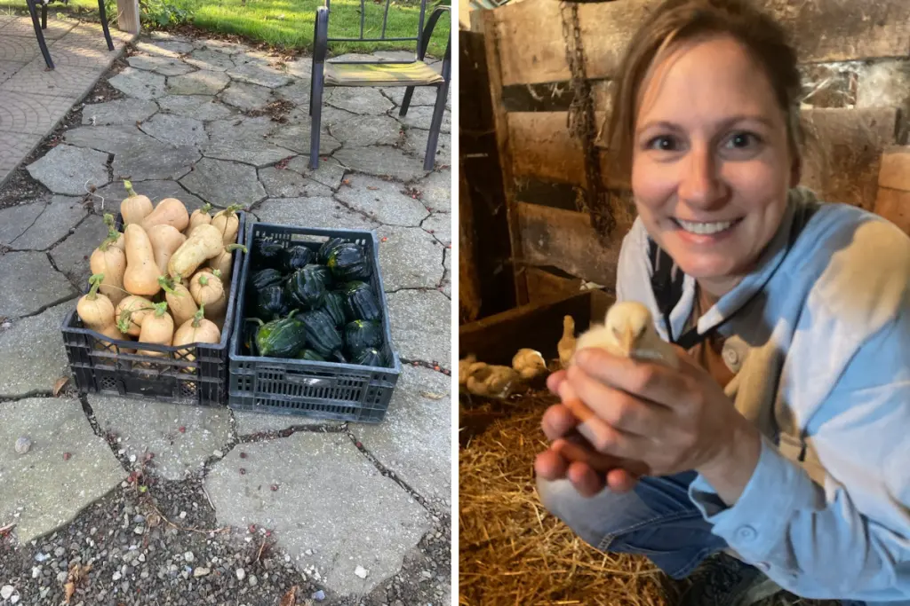 Freshly harvested squash and Rebecca Haywood holding a newly hatched chick on a farm.