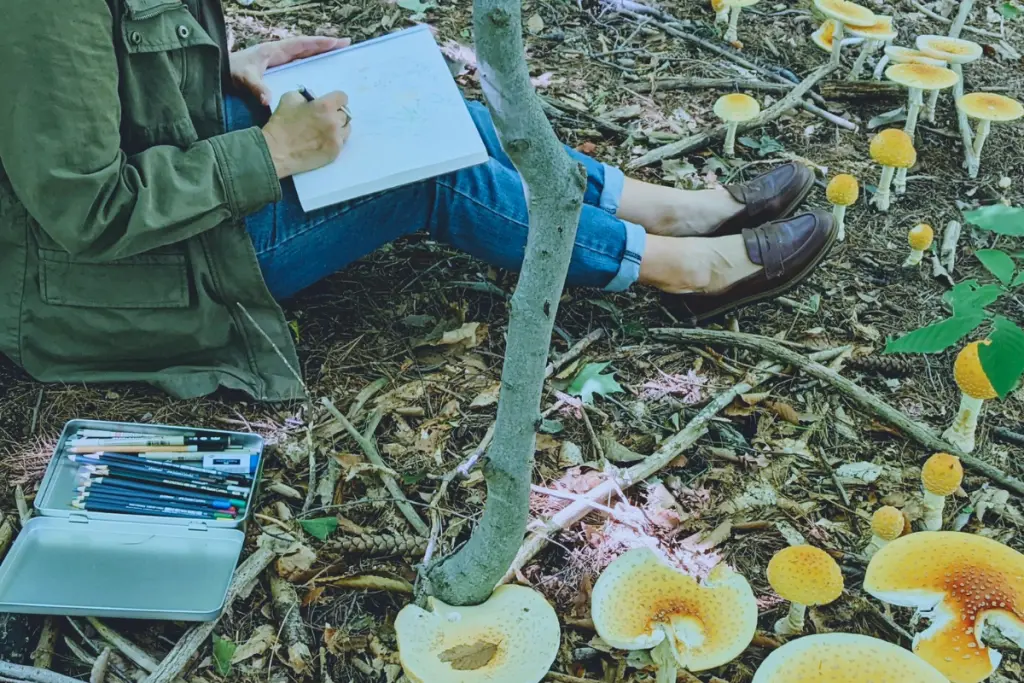 Sketchbook and drawing supplies set up in a forest surrounded by wild mushrooms and natural woodland scenery.